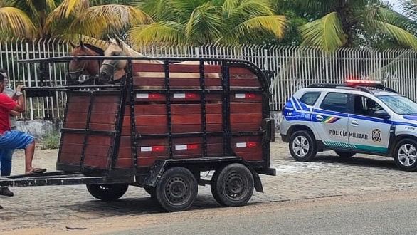 FiscalizaçãoFeiraNova.jpeg