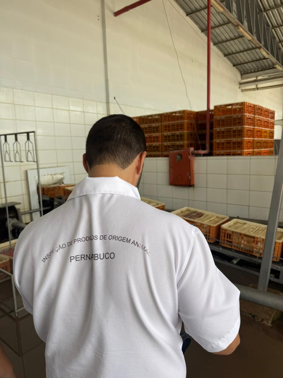 Fiscalizaçãoabatedouroaves_Machado.jpeg