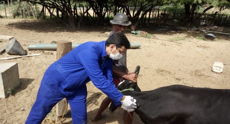 Primeira etapa da fiscalização do seguro rural segue até outubro