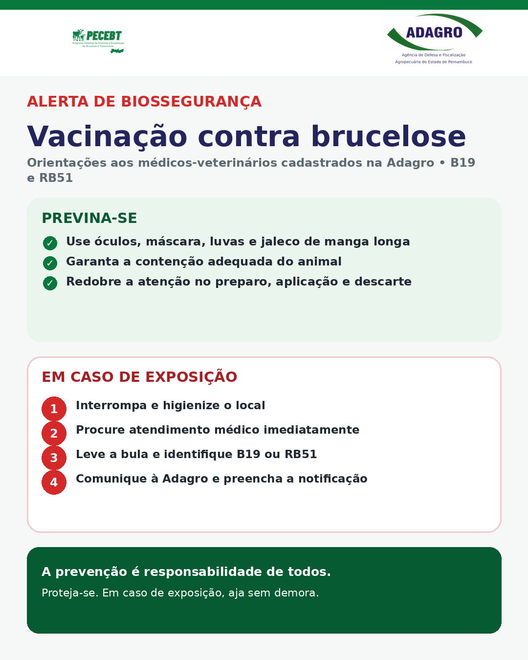 ADAGRO reforça medidas de biossegurança na vacinação contra a brucelose
