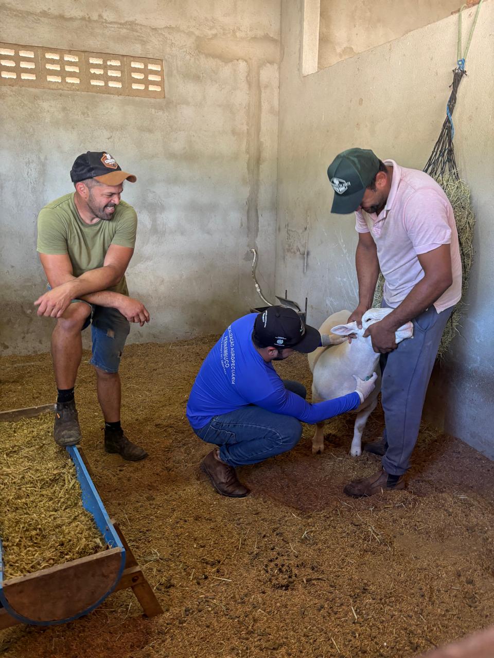 Registro das atividades de campo do estudo sorológico